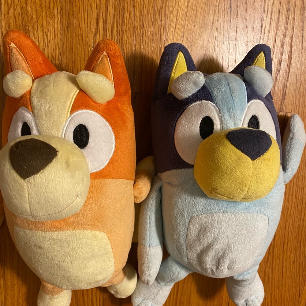 Bluey and Bingo Plush Toy Set